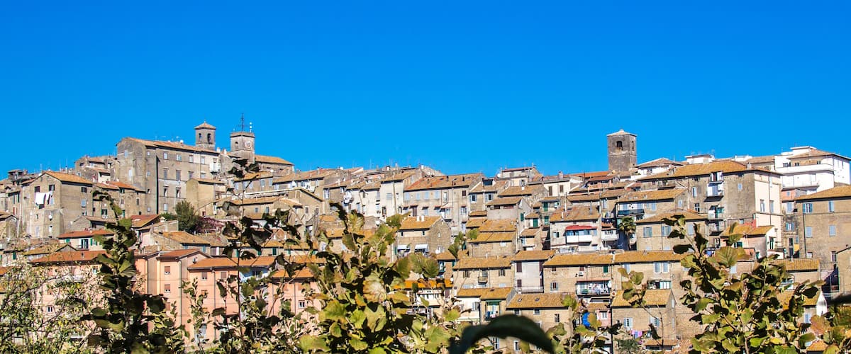 A densely packed urban landscape with historic buildings and a clear blue sky.