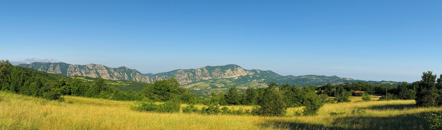 Panorama