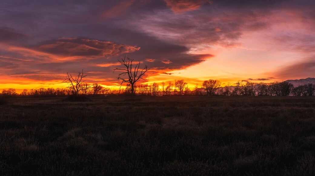 Panorama del Parco della Baraggia durante un tramonto, Candelo, Biella Italia