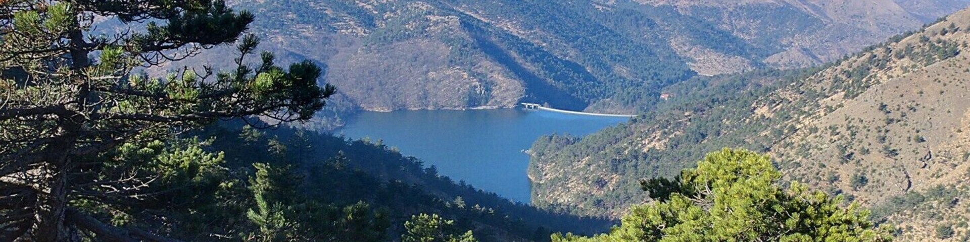Un paisaje montañoso con un lago rodeado de pinos.