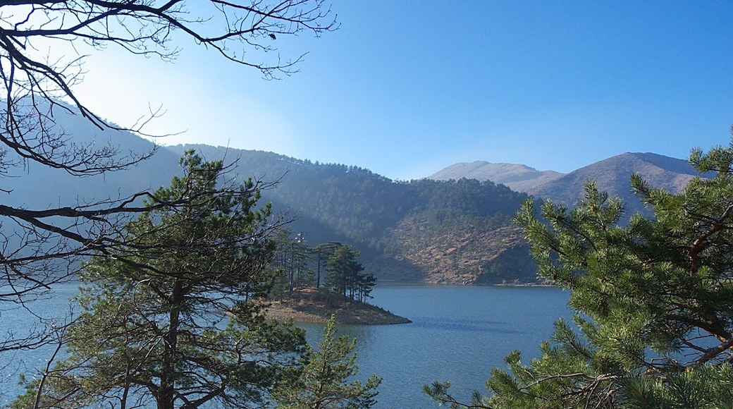 Isoletta in mezzo al Lago Bruno