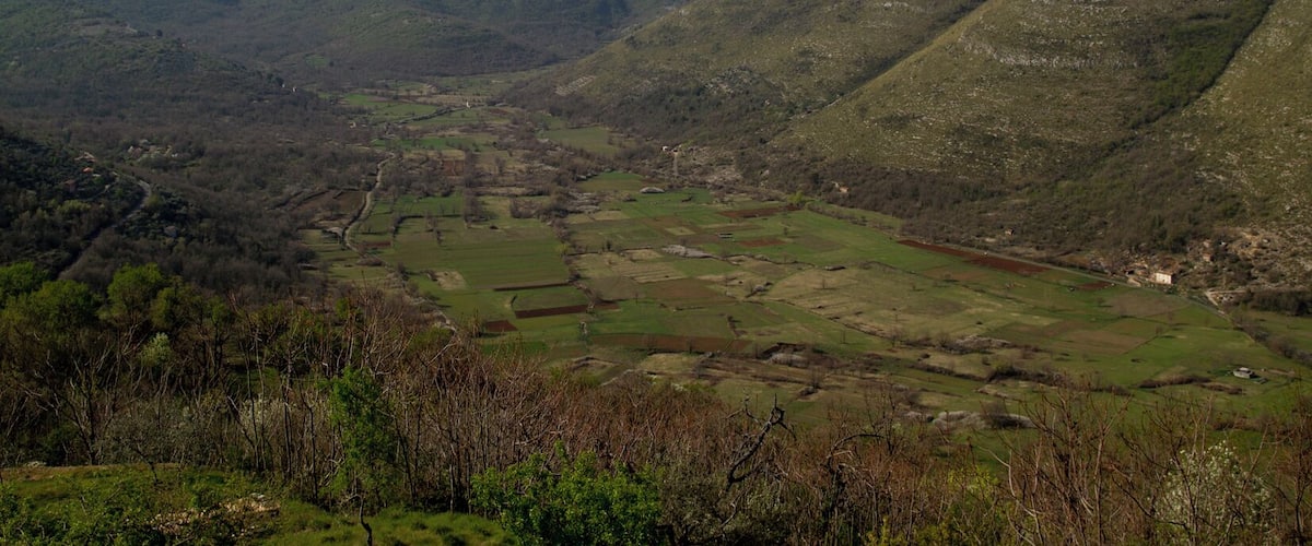 A valley with terraced fields and a mountain in the background.