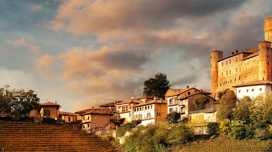 Castiglione Faletto, village in Barolo wine region, Langhe, Piedmont, Italy