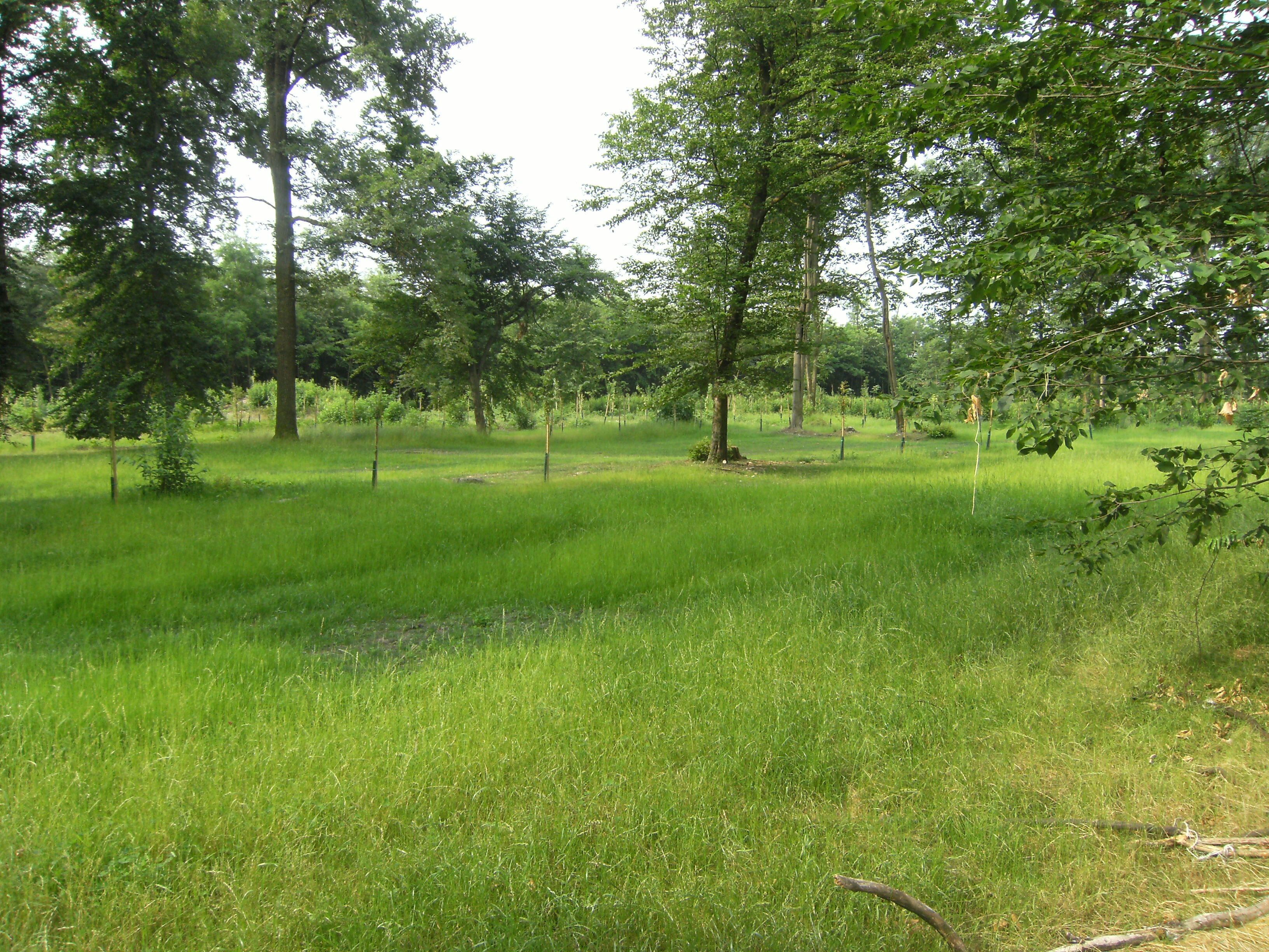 This is a photo of a monument which is part of cultural heritage of Italy. This monument participates in the contest Wiki Loves Monuments Italia 2013. See authorisations.