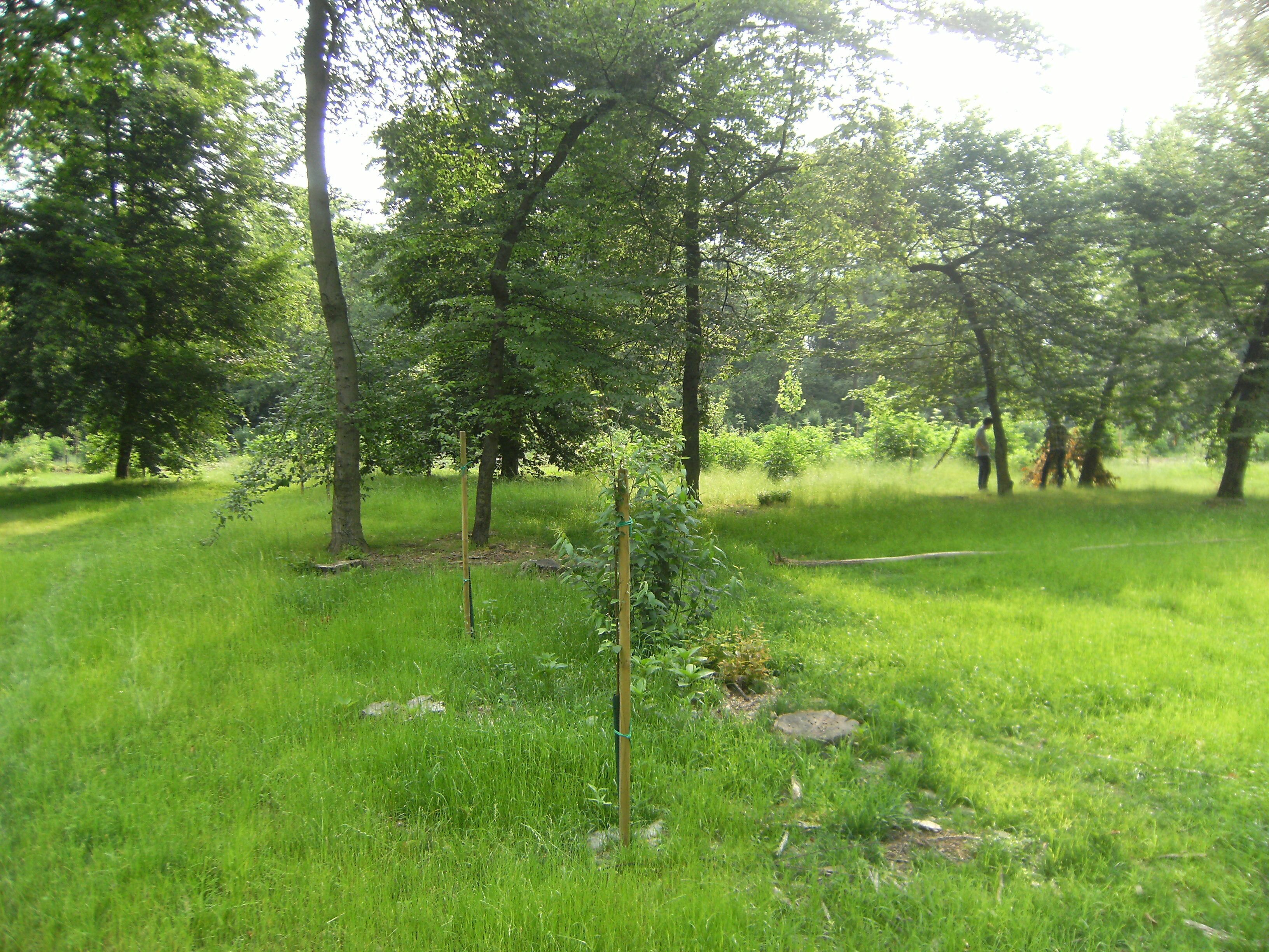 This is a photo of a monument which is part of cultural heritage of Italy. This monument participates in the contest Wiki Loves Monuments Italia 2013. See authorisations.