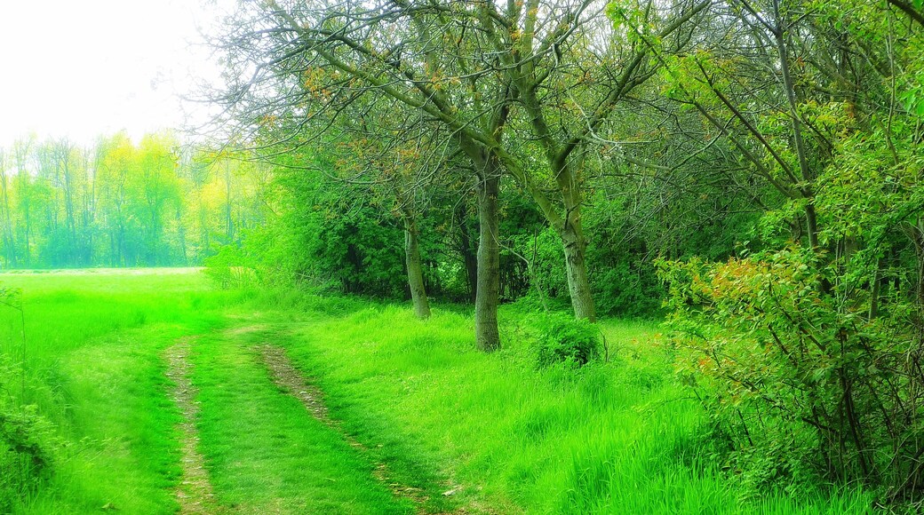 This is a photo of a monument which is part of cultural heritage of Italy. This monument participates in the contest Wiki Loves Monuments Italia 2016. See authorisations.