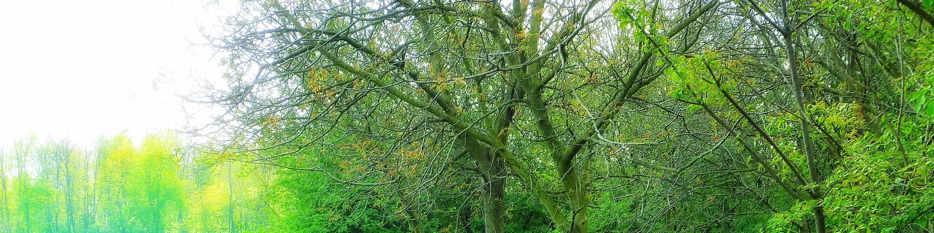 This is a photo of a monument which is part of cultural heritage of Italy. This monument participates in the contest Wiki Loves Monuments Italia 2016. See authorisations.