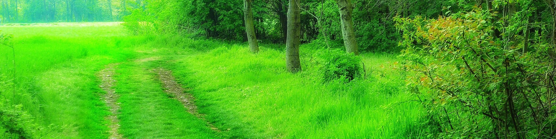 This is a photo of a monument which is part of cultural heritage of Italy. This monument participates in the contest Wiki Loves Monuments Italia 2016. See authorisations.