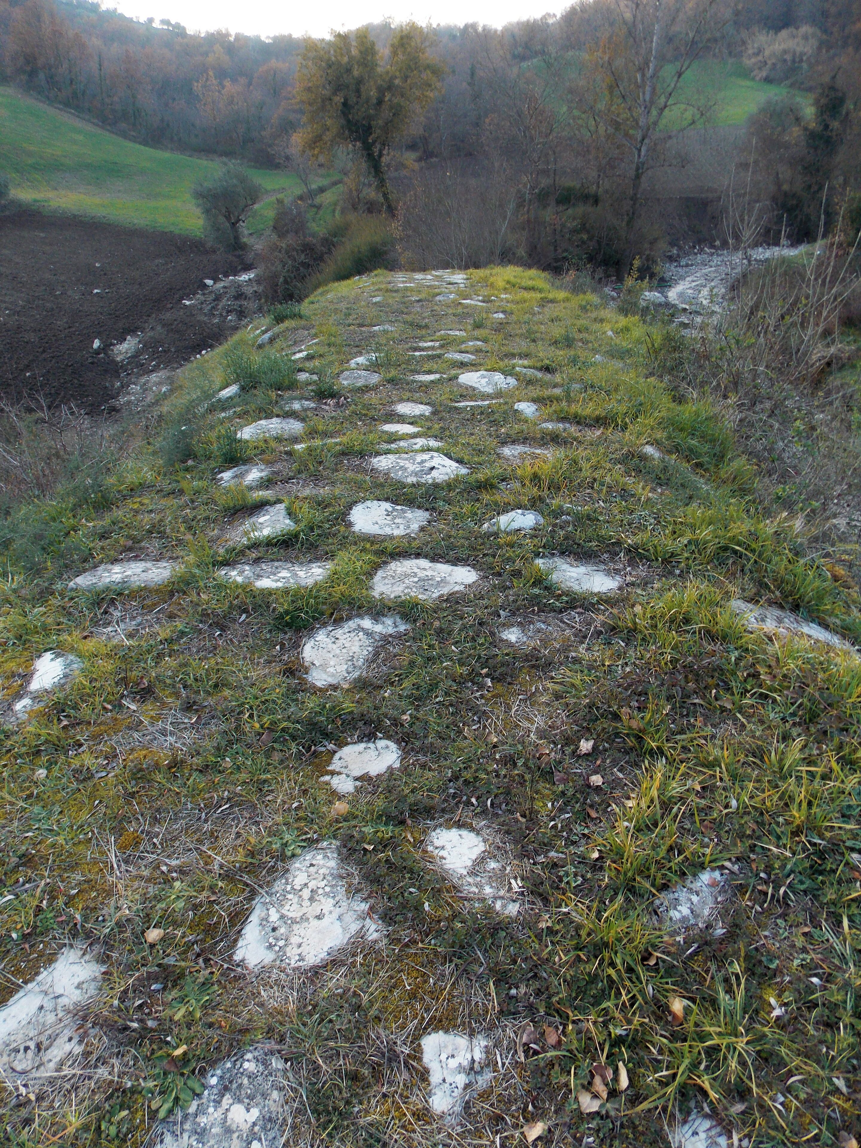 A stone pathway through a grassy field with scattered rocks.