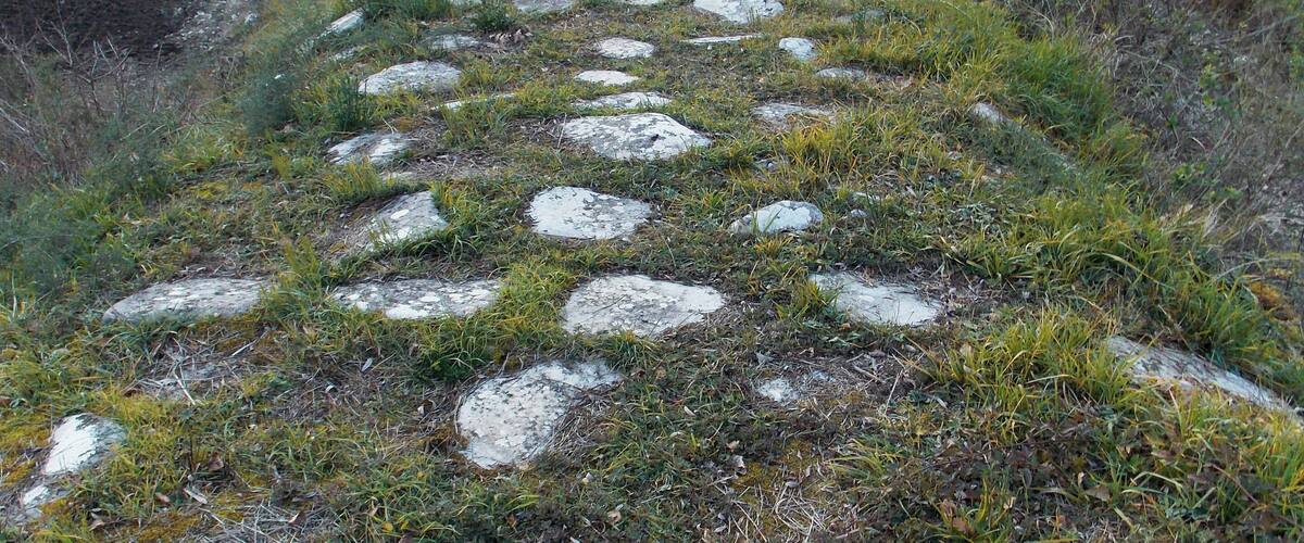 A stone pathway through a grassy field with scattered rocks.