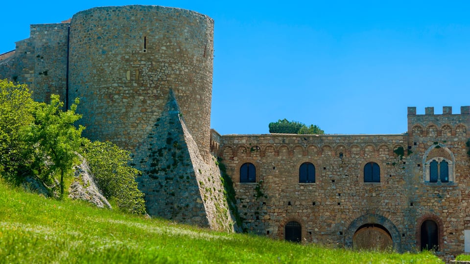 A historic stone castle with a large tower, arched windows, and a grassy foreground.