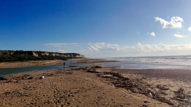 Foce del Fiume Platani