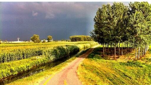 Bicycle trip around Ticino park, Lombardia