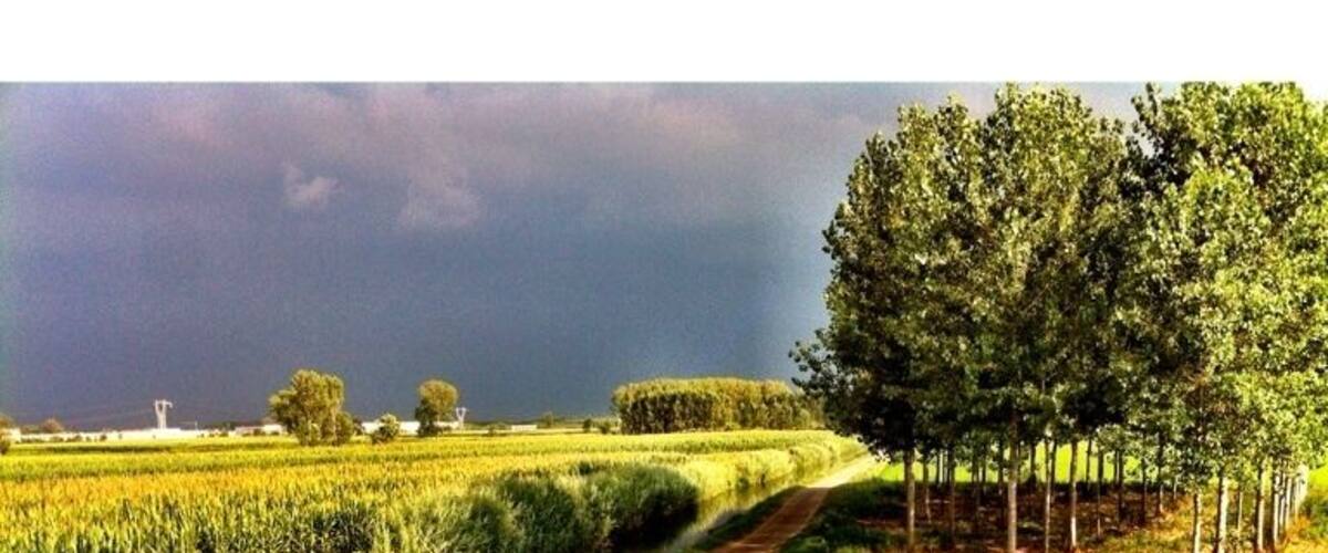 A rural road curving through fields with a stormy sky overhead.