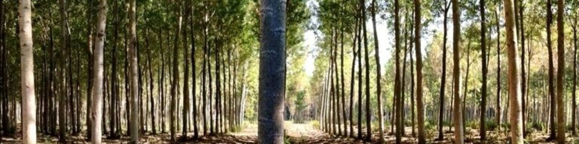 outdoor cycling around river Ticino park, near Pavia city