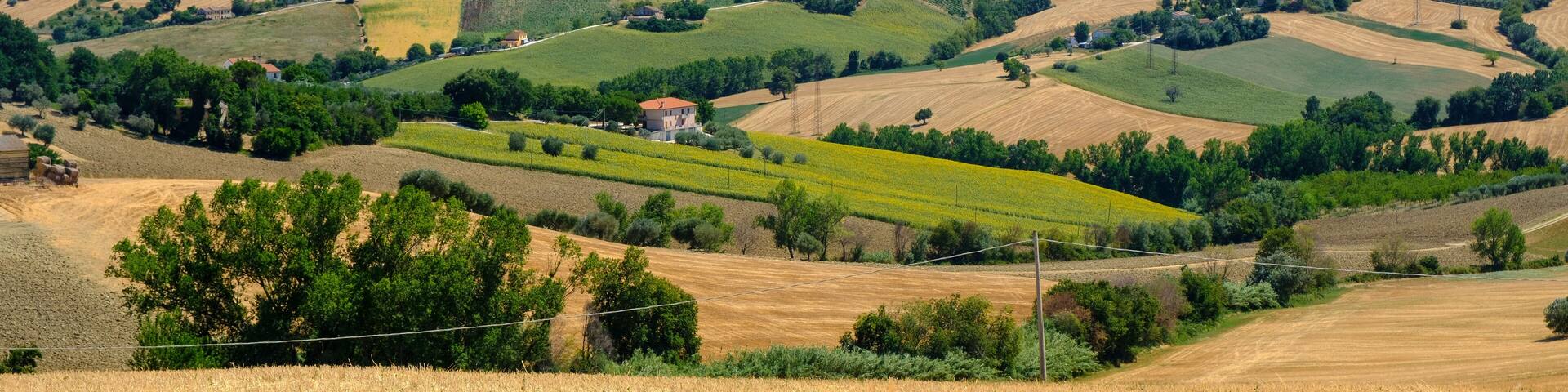 Summer landscape in Marches (Italy) near Belvedere Ostrense