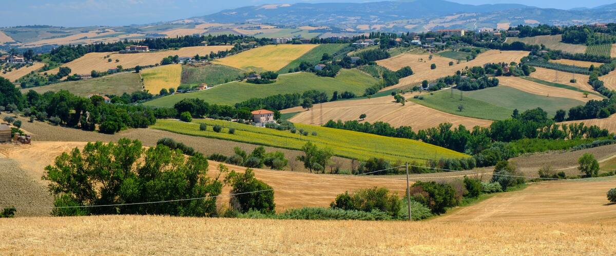 Rolling hills, fields, and scattered houses in a rural landscape.