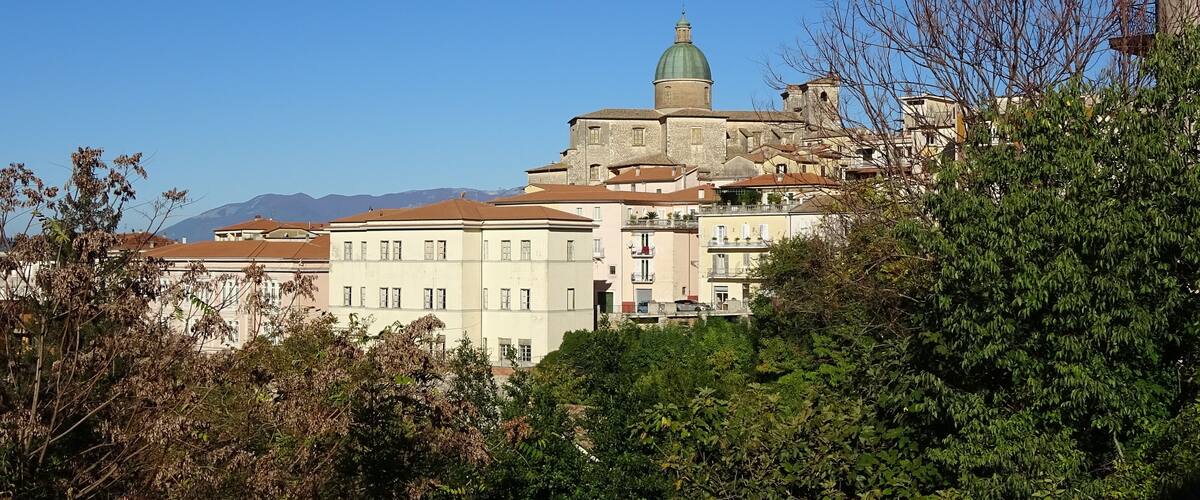 A historic building with a green dome, surrounded by trees and other buildings.