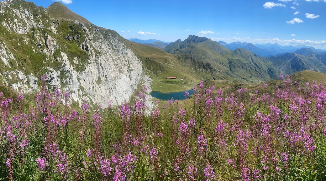 Friuli Carnia Paluzza - Pramosio