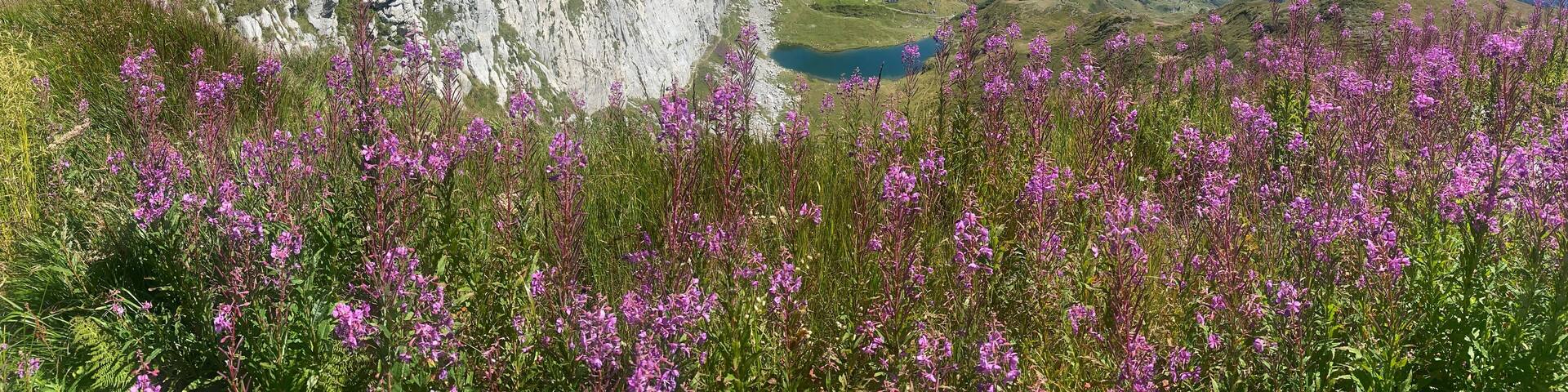 Friuli Carnia Paluzza - Pramosio