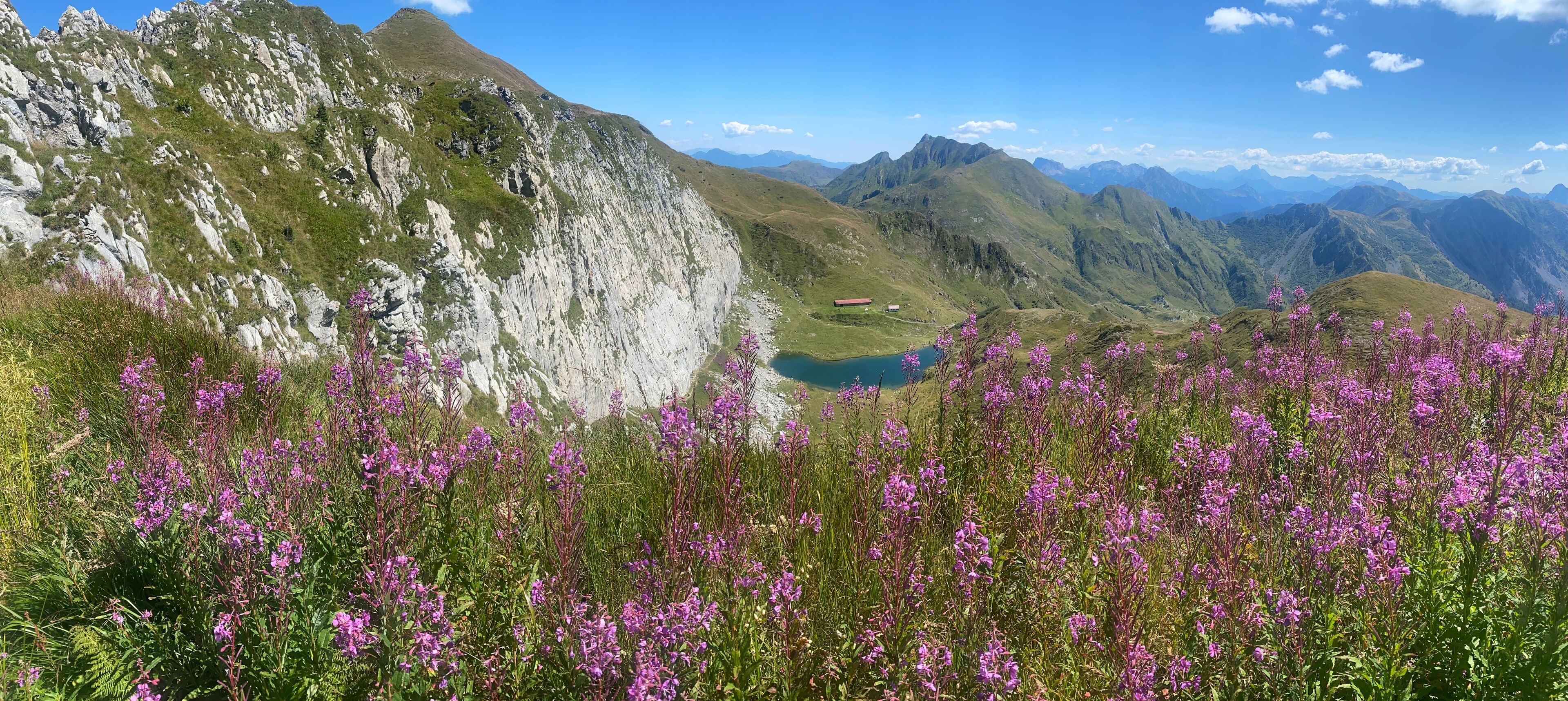 A mountainous landscape with a lake and purple flowers in the foreground.