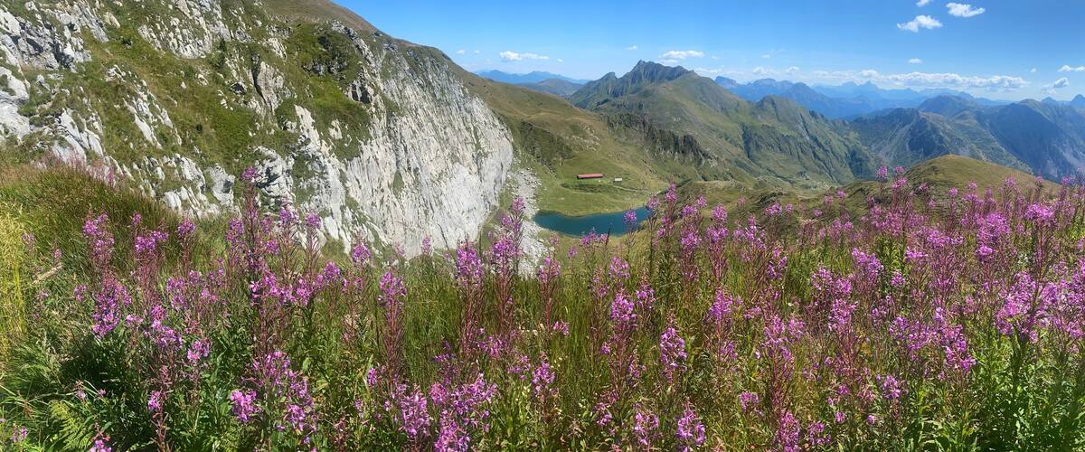 A mountainous landscape with a lake and purple flowers in the foreground.