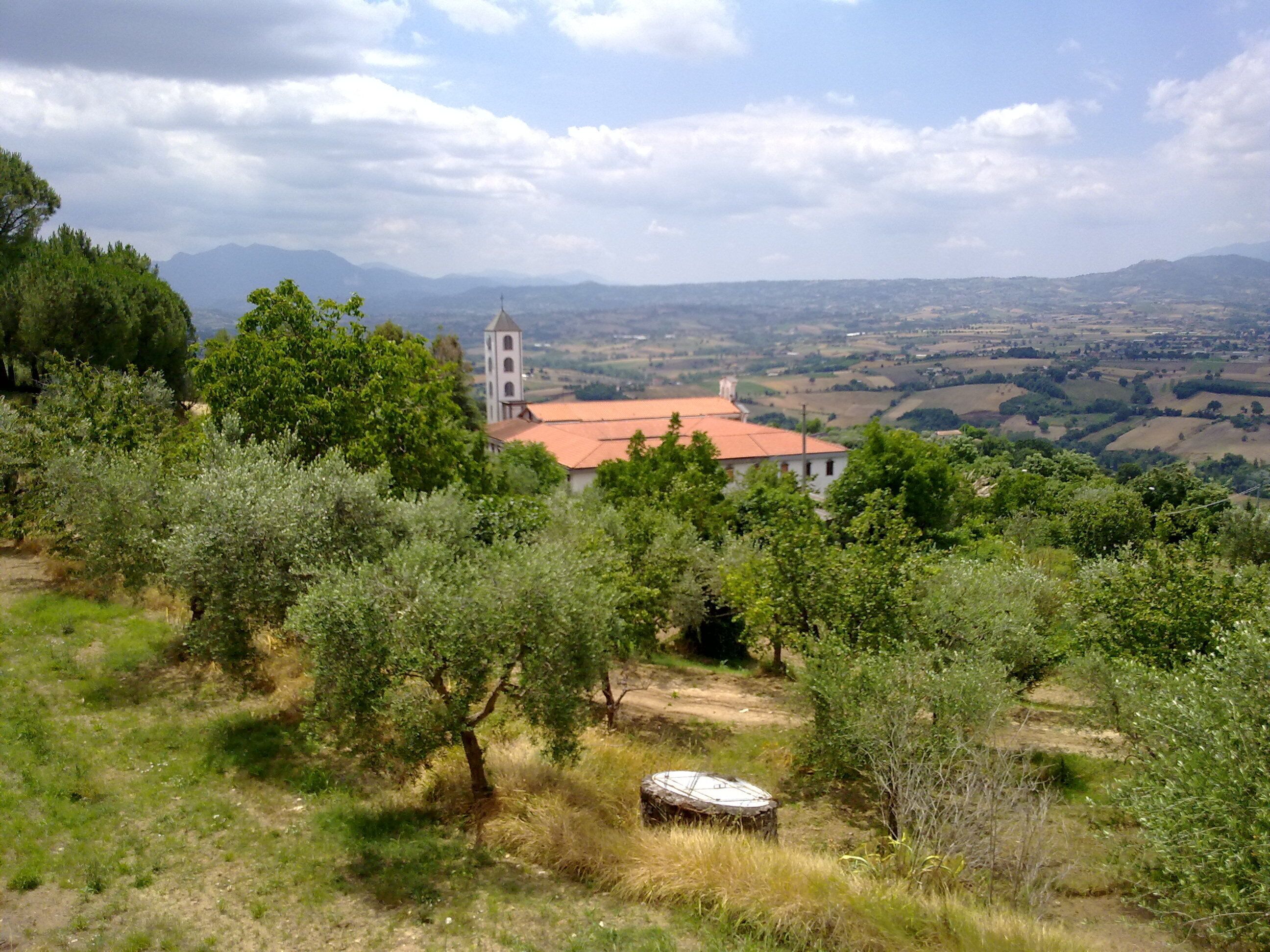 A rural landscape with olive trees, a church with a bell tower, and rolling hills in the background.