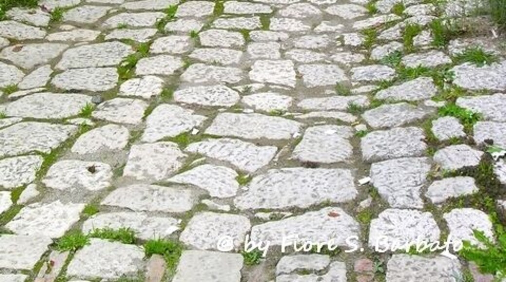 Scorcio del centro storico di Apice, in provincia di Benevento, abbandonato dopo il terremoto del 1962