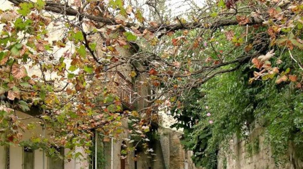 Apice (BN), il paese abbandonato.