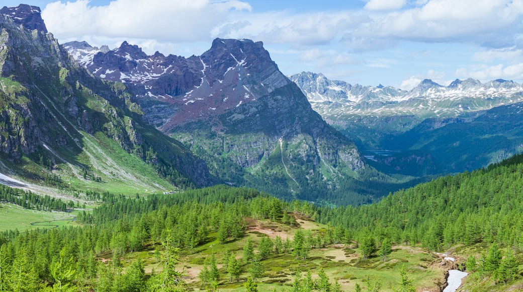 A summer day in the mountains and the nature of the alps of the natural Parcon alpe veglia - devero, near the town of Baceno, Italy - July 2021.