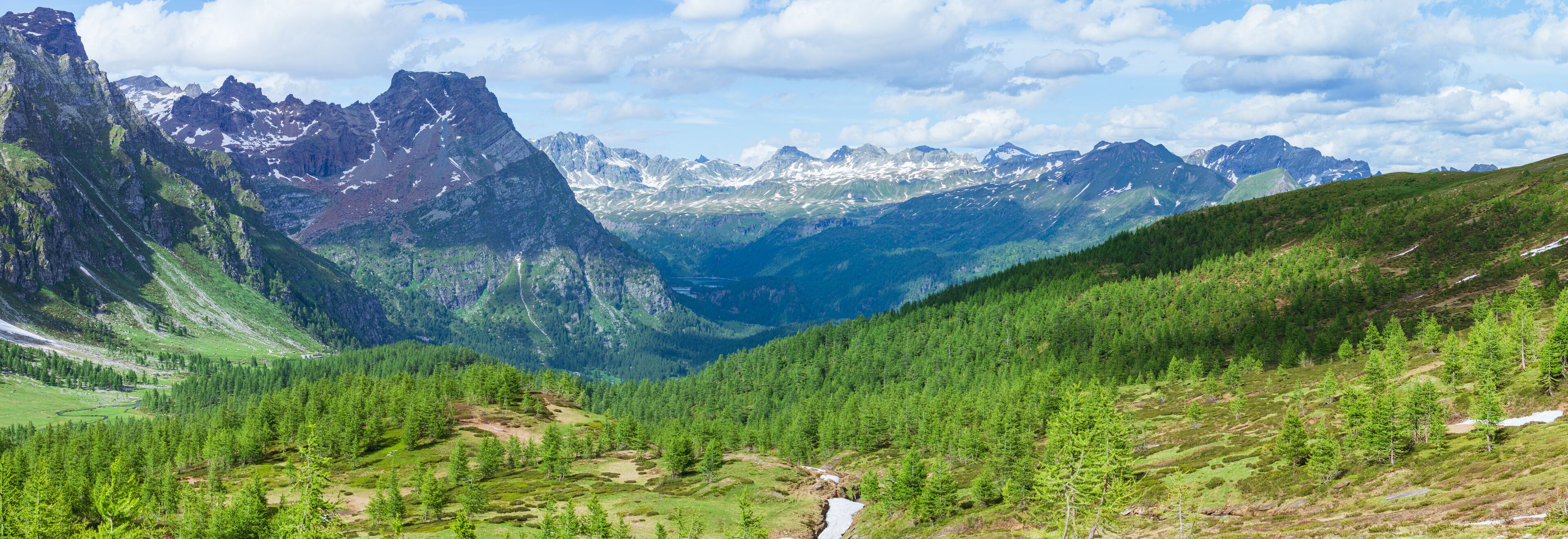 A mountainous landscape with dense forests, a river, and snow-capped peaks.