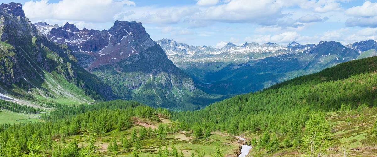 A mountainous landscape with dense forests, a river, and snow-capped peaks.