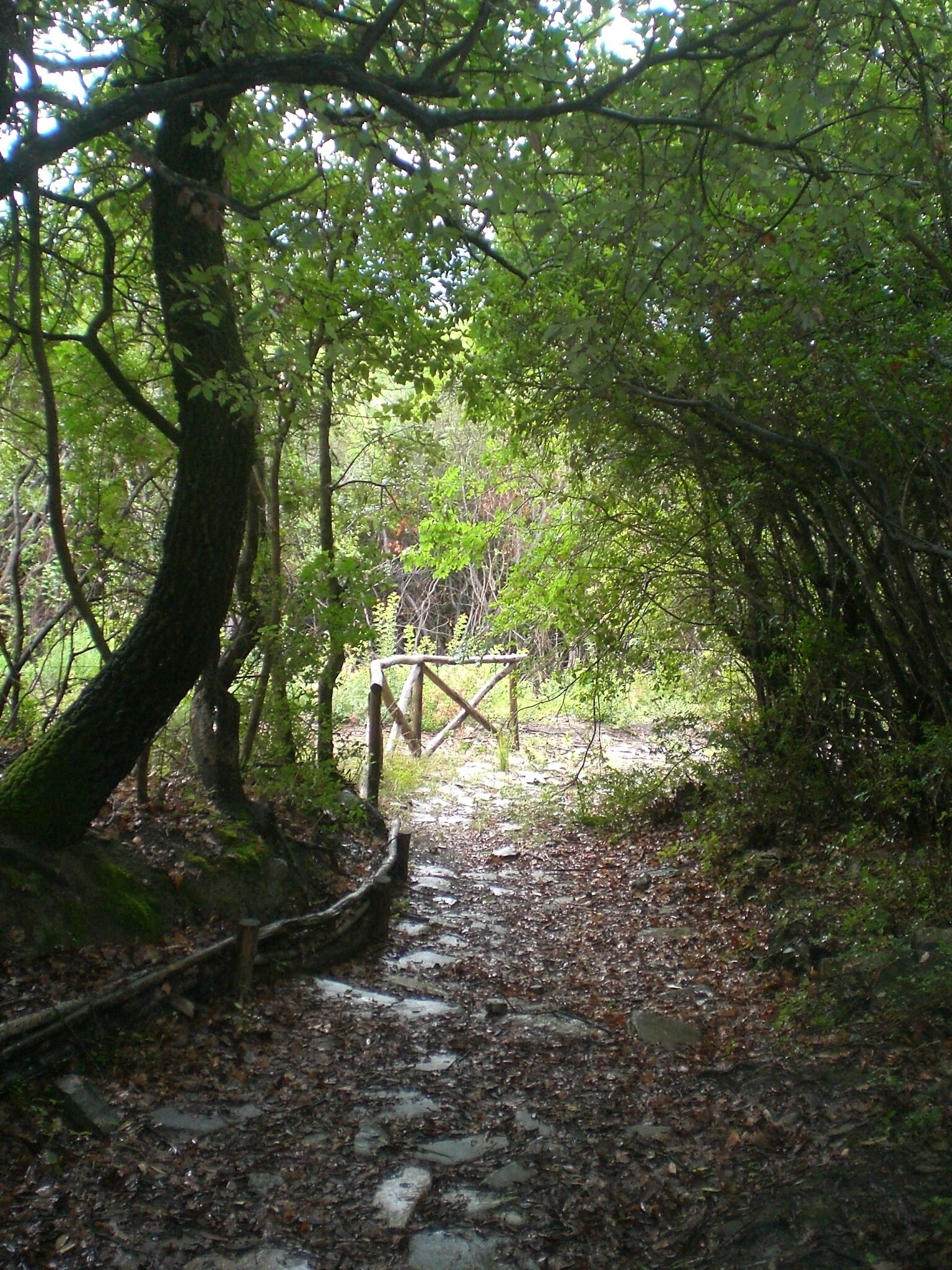 The authorisation for taking photos of this object was provided by the World Wide Fund for Nature Italy.
