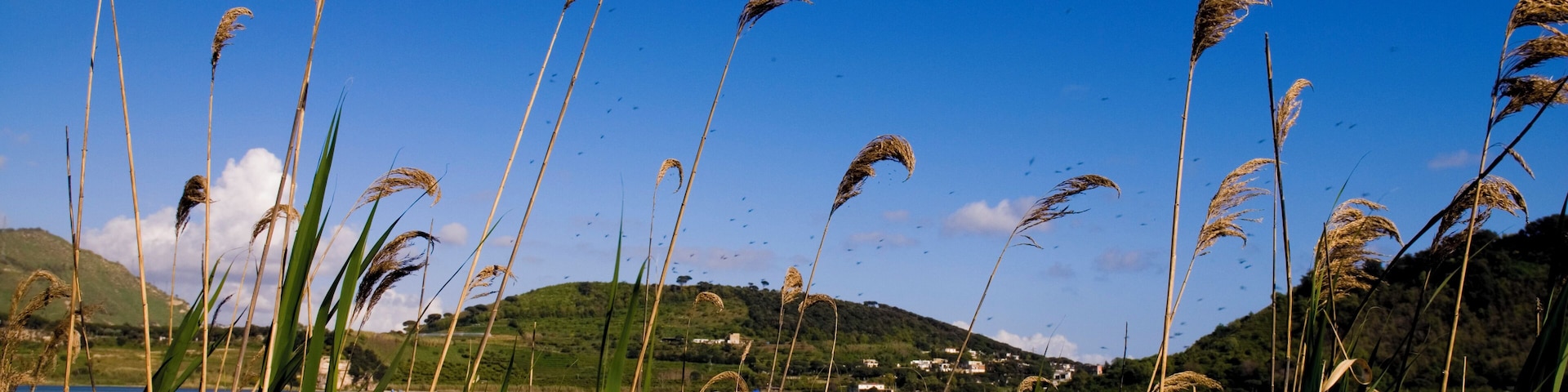 This monument needs check. The problem is the following: this monument is not listed in the monument list.