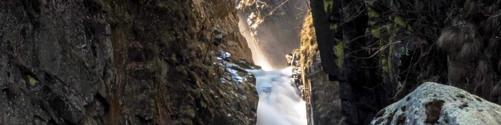 Waterfall in the wood. Italian Alps #BvSWater