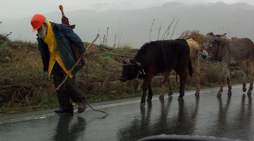 La piccola transumanza