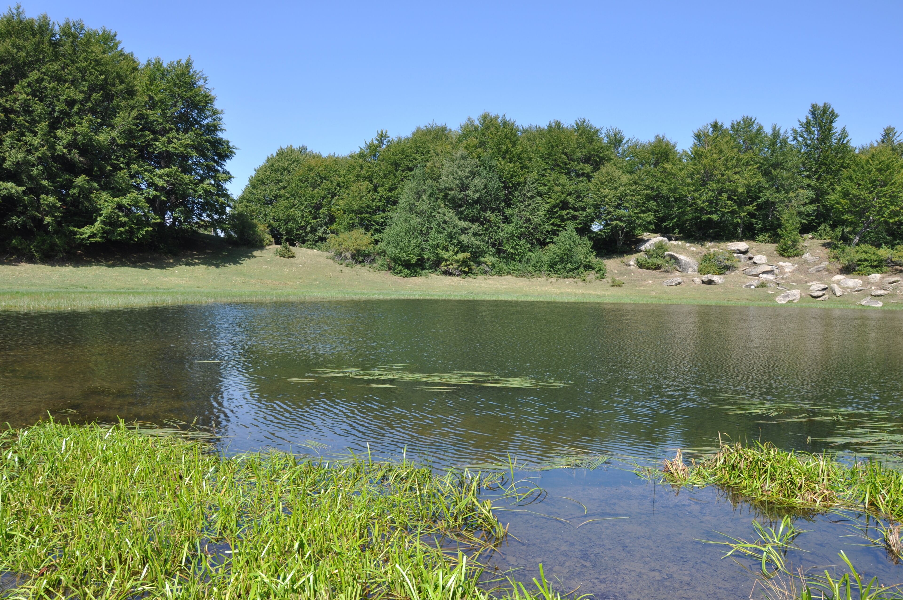 The authorisation for taking photos of this object was provided by the World Wide Fund for Nature Italy.