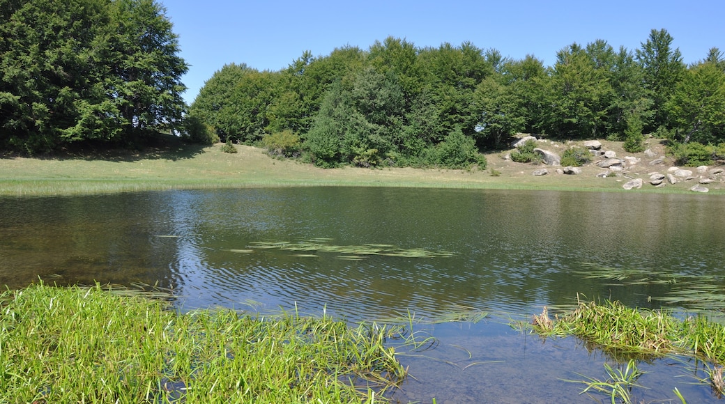 The authorisation for taking photos of this object was provided by the World Wide Fund for Nature Italy.