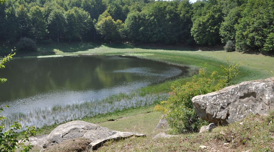 The authorisation for taking photos of this object was provided by the World Wide Fund for Nature Italy.