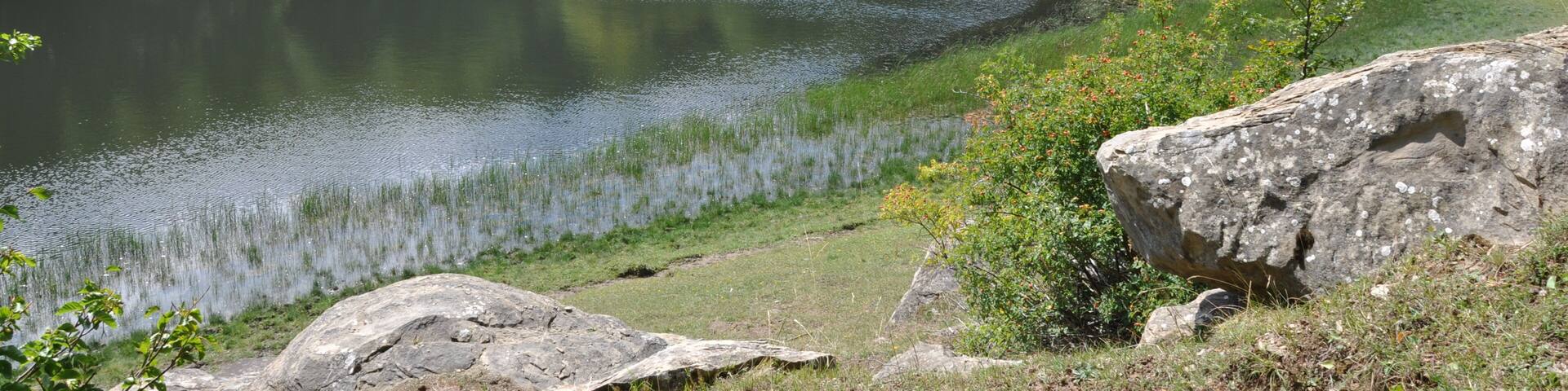 The authorisation for taking photos of this object was provided by the World Wide Fund for Nature Italy.