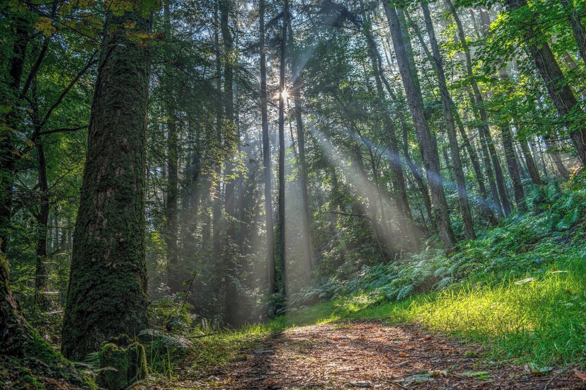 Ramelton, Donegal, Ireland.