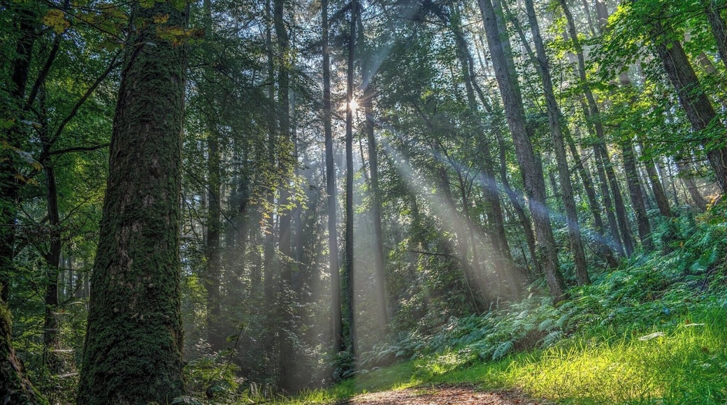 Ramelton, Donegal, Ireland.