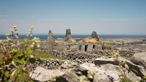 Ruined, abandoned cottage on Inishmaan (Inis Meain), one of the Aran Islands off the coast of Galway in the west of Ireland.