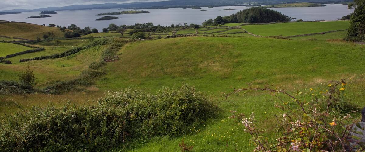 A coastal landscape with rolling hills, a large body of water, and distant islands.