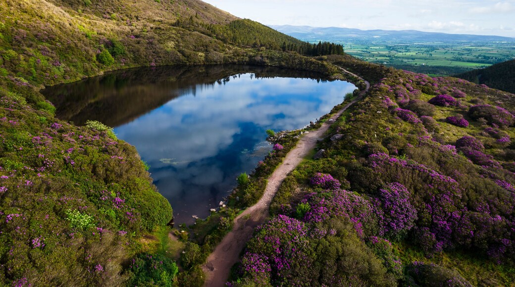 Bay Lough lake in Clogheen, county Tipperary in Ireland. The lake sits on a slope in the midst of the Knockmealdown mountains, looks like a mirror due to its black water and is surrounded by green for