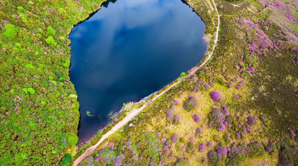 Bay Lough lake in Clogheen, county Tipperary in Ireland. The lake sits on a slope in the midst of the Knockmealdown mountains, looks like a mirror due to its black water and is surrounded by green for