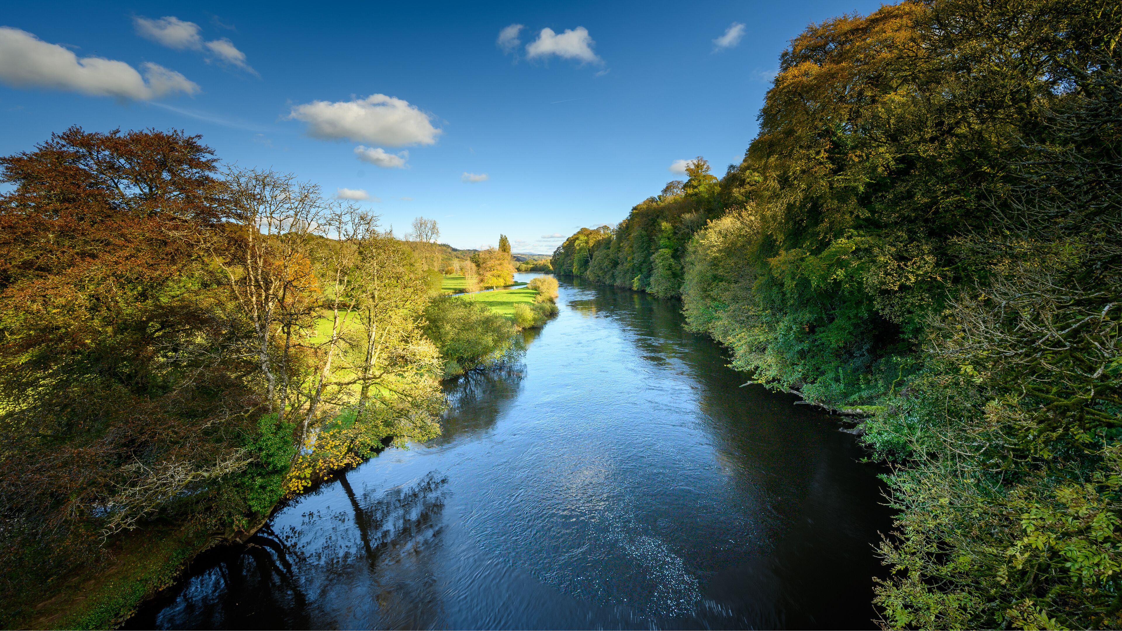 A river flanked by dense trees and a clear blue sky.