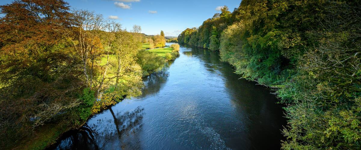 A river flanked by dense trees and a clear blue sky.