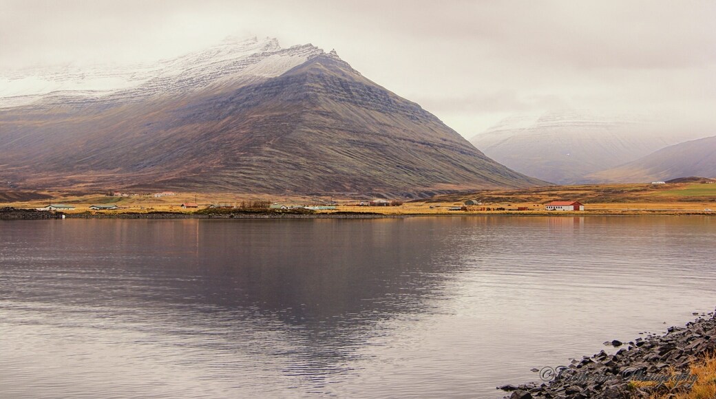 Lake Lagarfljot, Iceland
A small valley in the east of Iceland, formed by Lake lagarfljot
To see more photos of this place, pls click the link
cattanblog.wordpress.com/2015/06/04/fljotsdalur-iceland/
#Parks #landscape #iceland #nationalpark #hiking #reflection #water