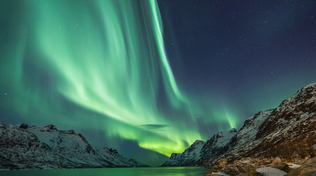 Northern Lights above waters edge; Shutterstock ID 262234709; purchase_order: -; Order: -; client: -; job: -